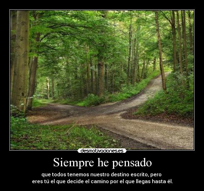 Siempre he pensado - 