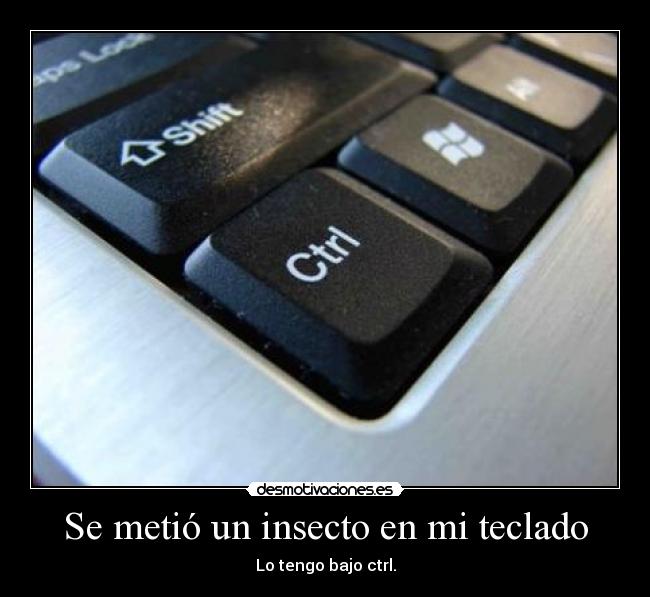 Se metió un insecto en mi teclado - Lo tengo bajo ctrl.