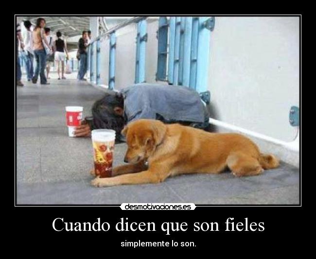 Cuando dicen que son fieles -