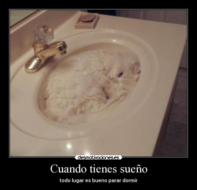 Cuando tienes sueño - todo lugar es bueno parar dormir