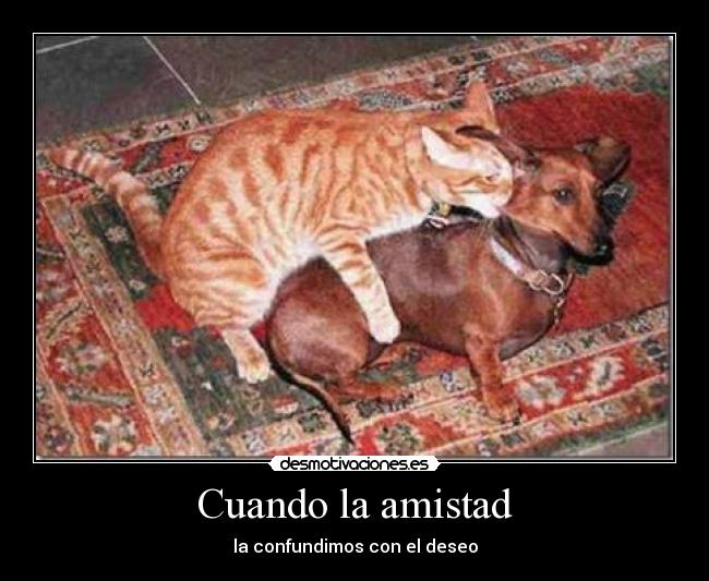carteles amistad ewf desmotivaciones