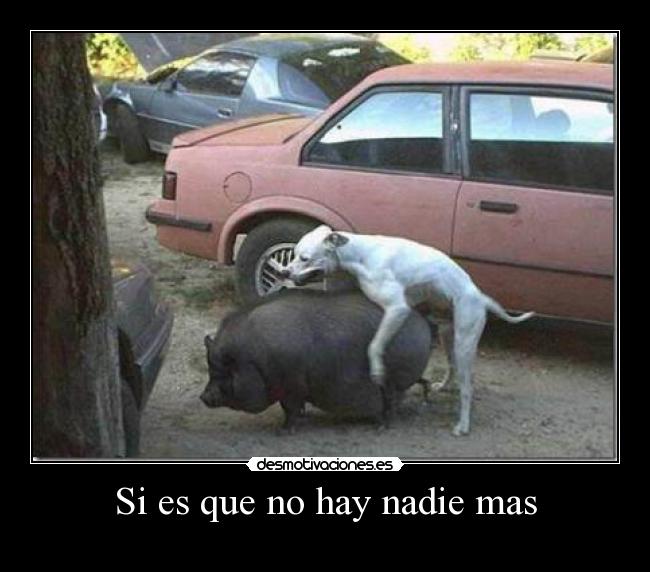 Si es que no hay nadie mas - 