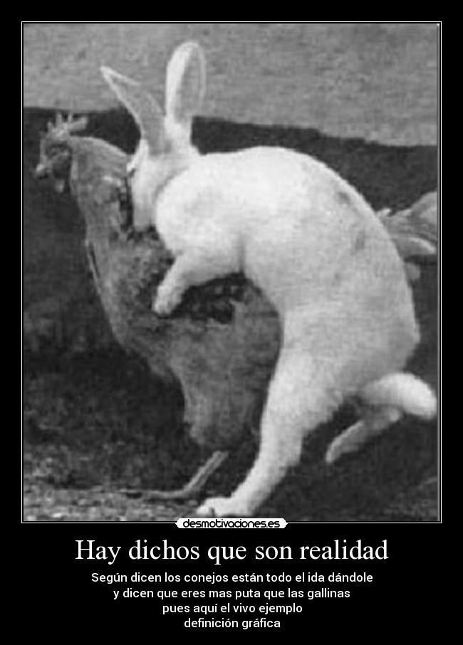 Hay dichos que son realidad - 