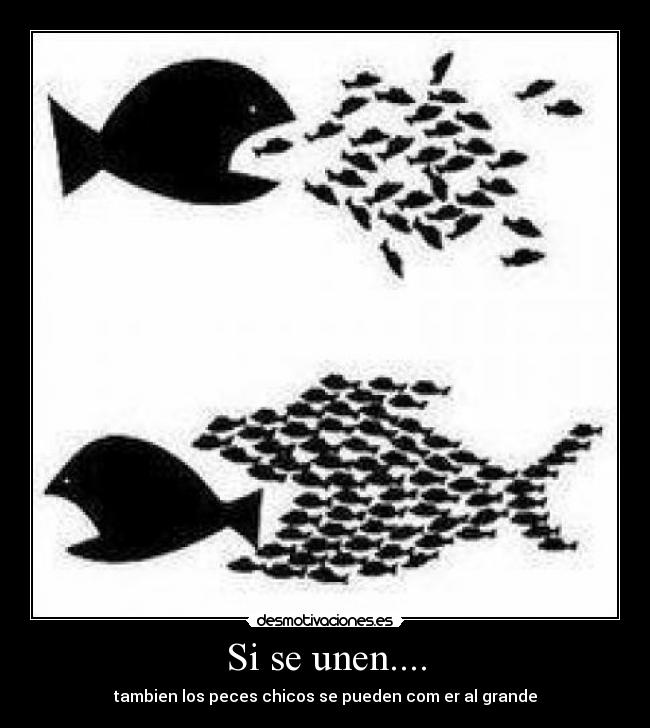 carteles humor desmotivaciones