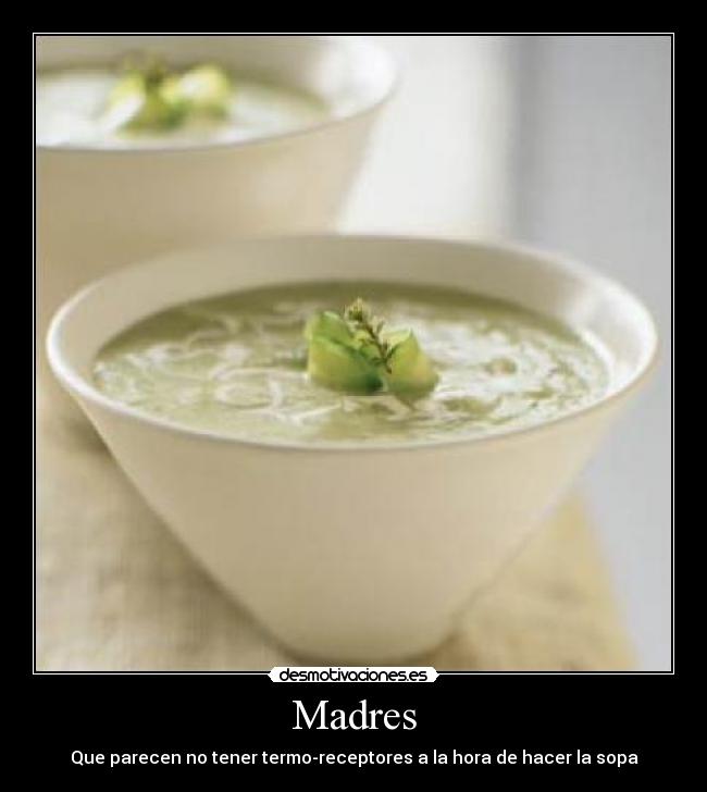 Madres - Que parecen no tener termo-receptores a la hora de hacer la sopa