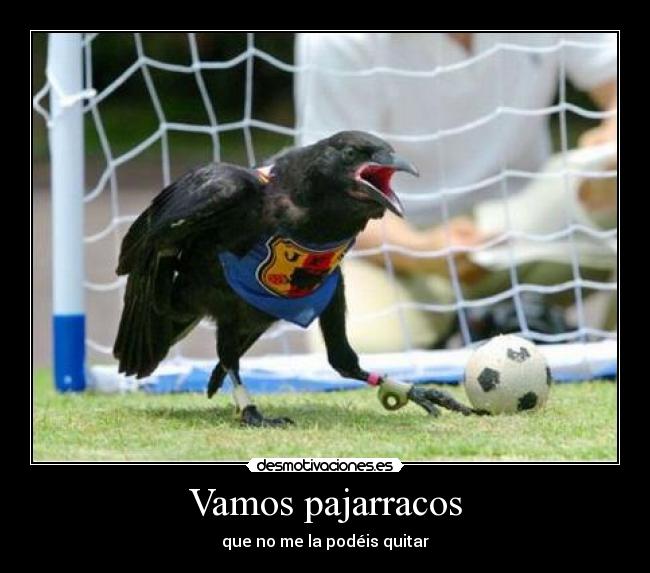 carteles ewr desmotivaciones