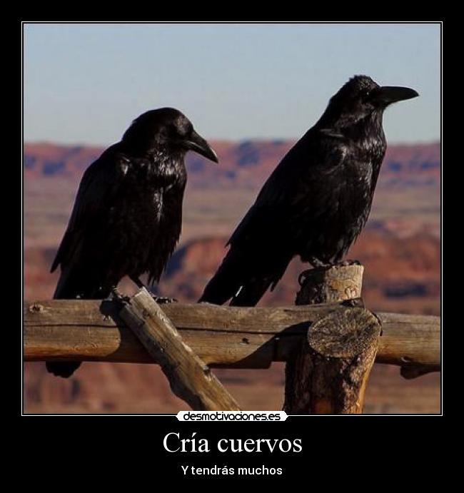 Cría cuervos -