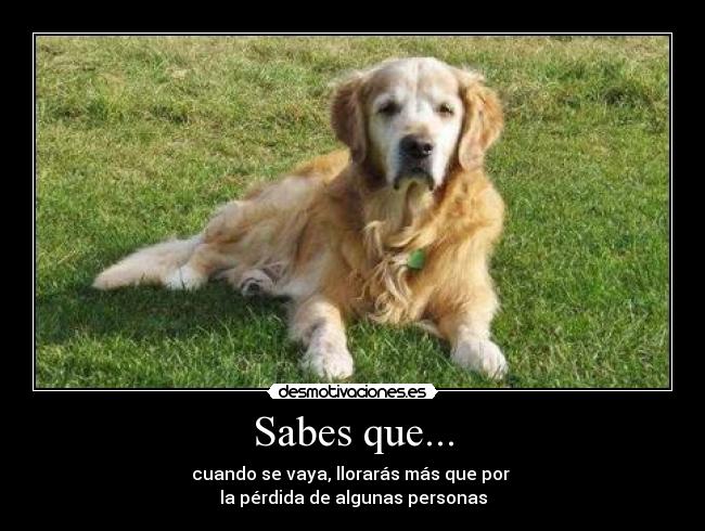 Sabes que... -