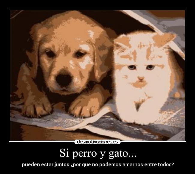 Si perro y gato... - 