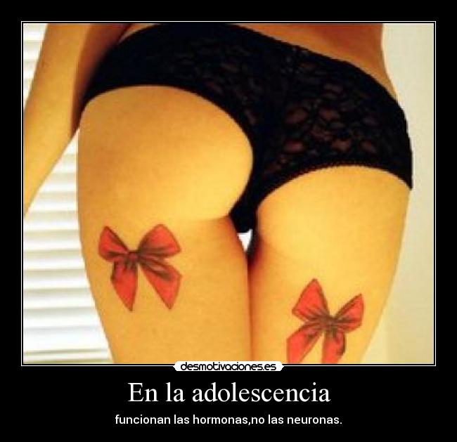 En la adolescencia - funcionan las hormonas,no las neuronas.
