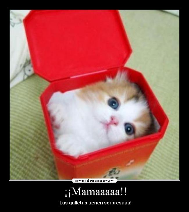 ¡¡Mamaaaaa!! - ¡Las galletas tienen sorpresaaa!