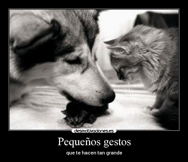 Pequeños gestos - que te hacen tan grande