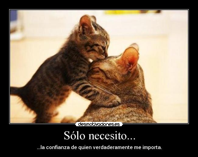 Sólo necesito... - ...la confianza de quien verdaderamente me importa.