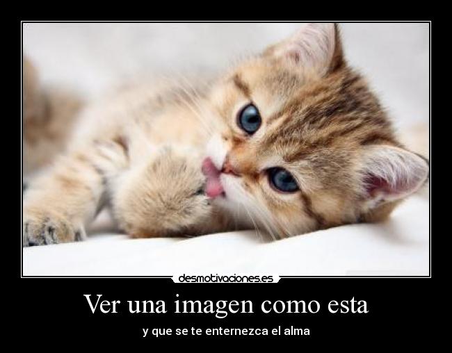 Ver una imagen como esta - y que se te enternezca el alma