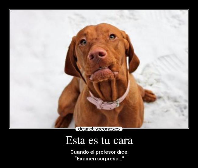 Esta es tu cara - Cuando el profesor dice:
Examen sorpresa...