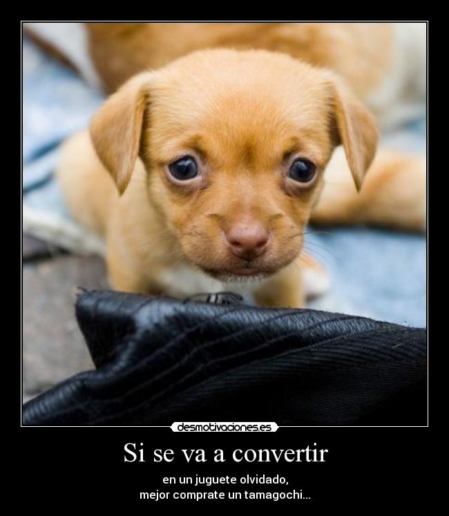 Si se va a convertir - en un juguete olvidado,
mejor comprate un tamagochi...