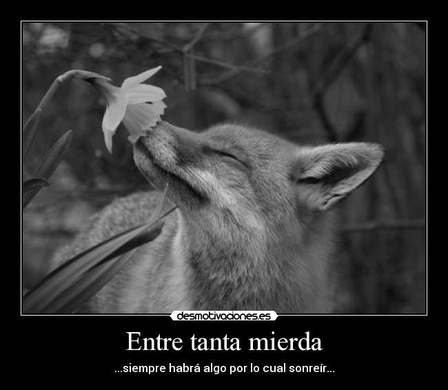 carteles dreadk fuck yeahh cae cabello carajo que hago jaja desmotivaciones