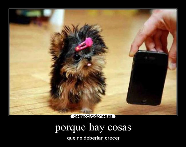 porque hay cosas - 