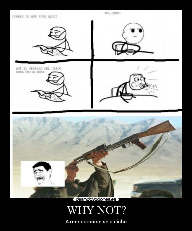 WHY NOT? - A reencarnarse se a dicho