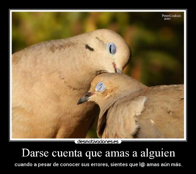 Darse cuenta que amas a alguien -