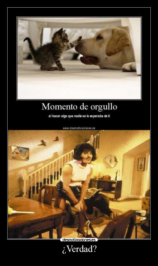 ¿Verdad? -