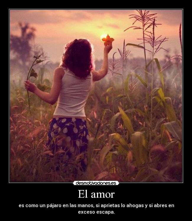 El amor - 