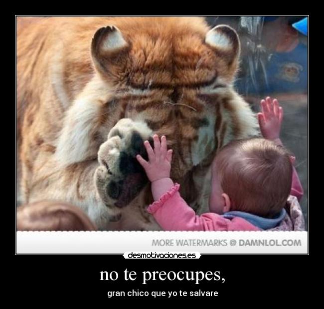 no te preocupes, - 