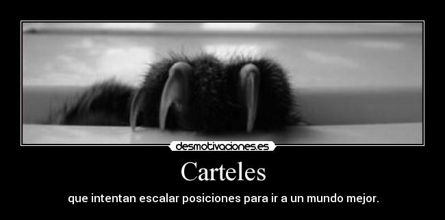 Carteles -