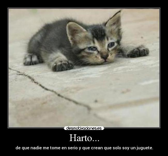 Harto... - de que nadie me tome en serio y que crean que solo soy un juguete.
