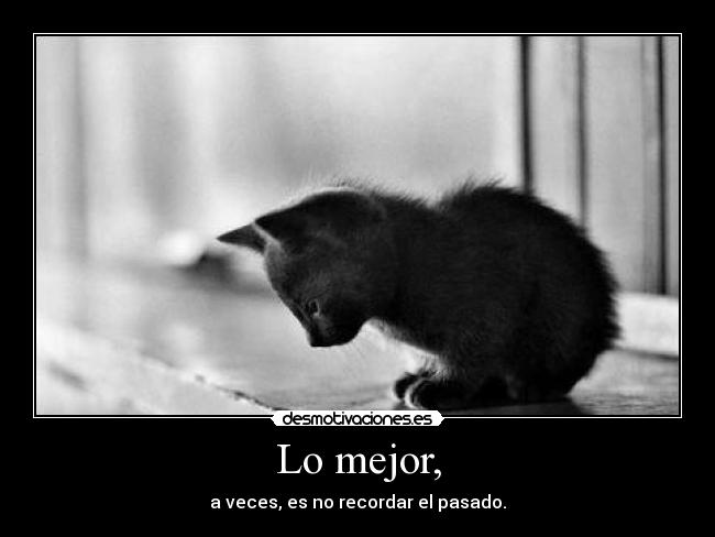 carteles mejor veces recordar pasado gatosnegro desmotivaciones