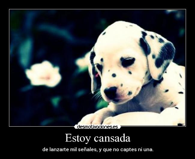 Estoy cansada -