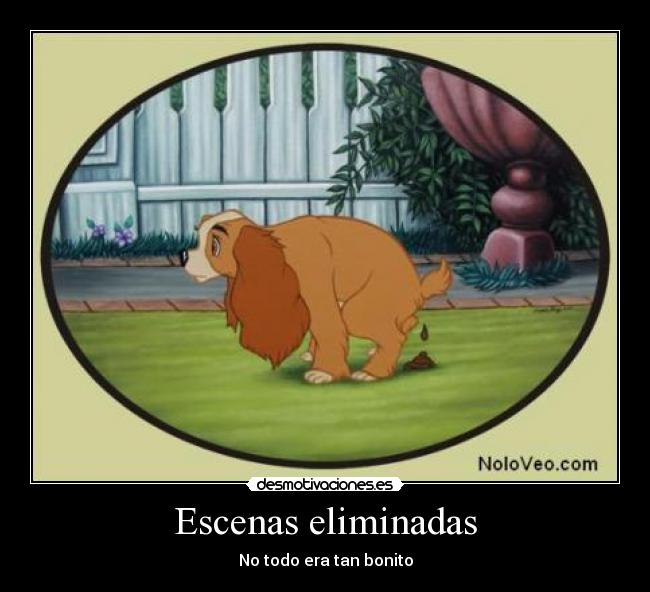 carteles dama vagabundo desmotivaciones