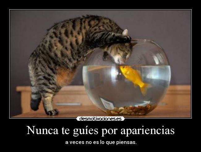 Nunca te guíes por apariencias - a veces no es lo que piensas.