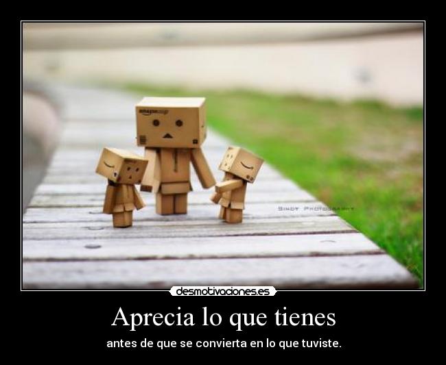 Aprecia lo que tienes - antes de que se convierta en lo que tuviste.