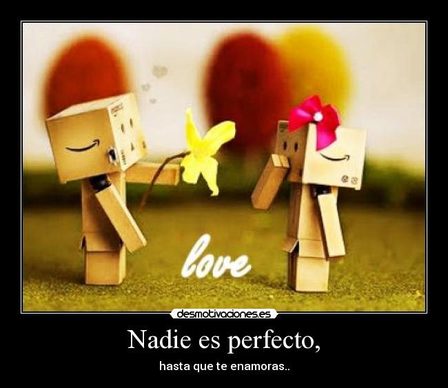 Nadie es perfecto, -