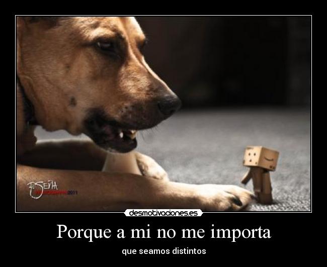 carteles danbo love diferentes desmotivaciones