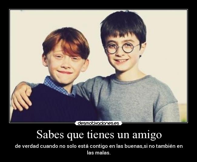 carteles harry ronamigos desmotivaciones