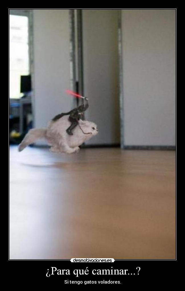 ¿Para qué caminar...? -