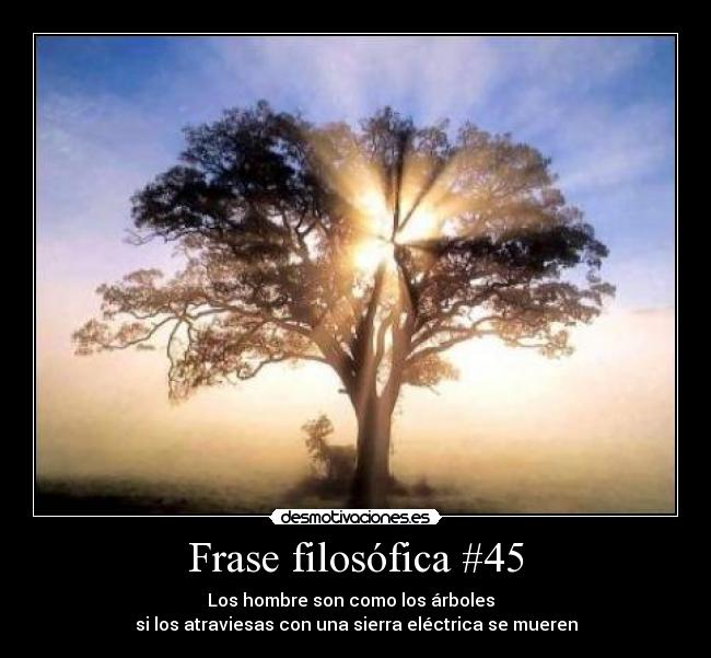Frase filosófica #45 - Los hombre son como los árboles
si los atraviesas con una sierra eléctrica se mueren