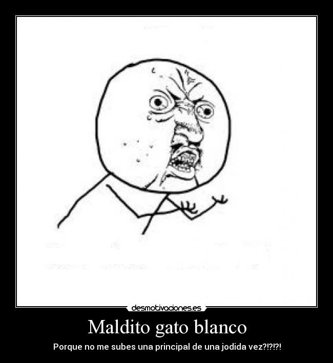 Maldito gato blanco - 