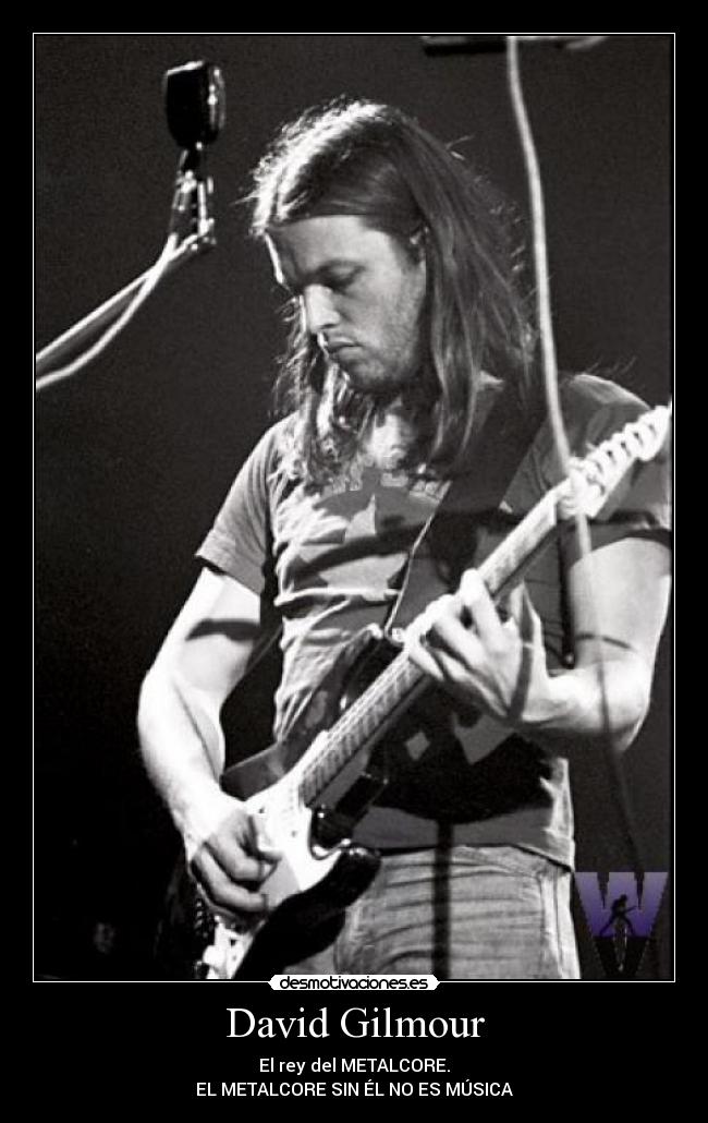David Gilmour - 