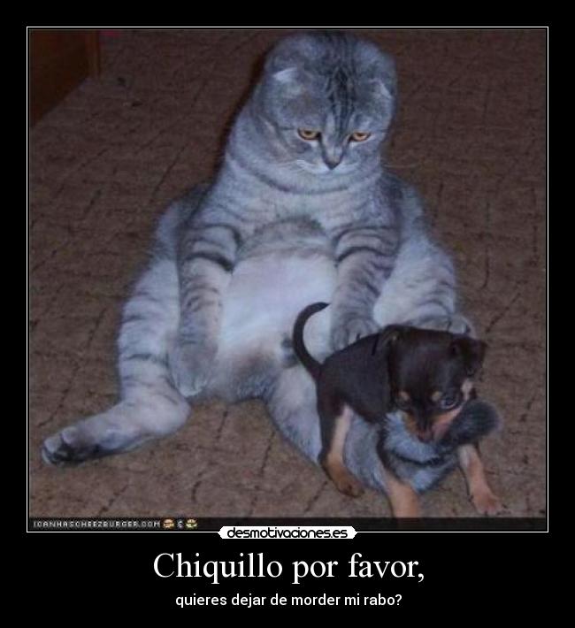Chiquillo por favor, - 