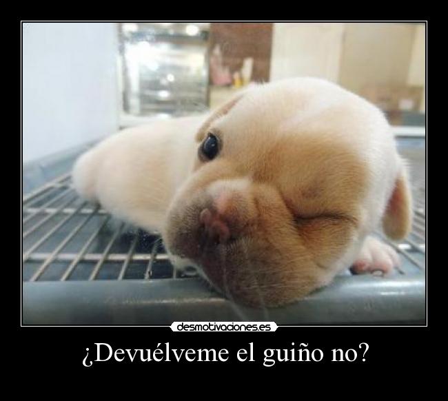 ¿Devuélveme el guiño no? - 