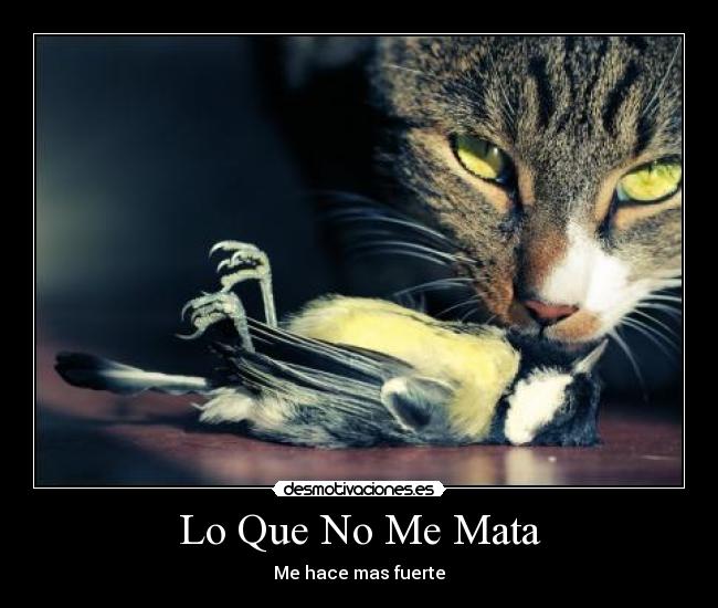 Lo Que No Me Mata - Me hace mas fuerte