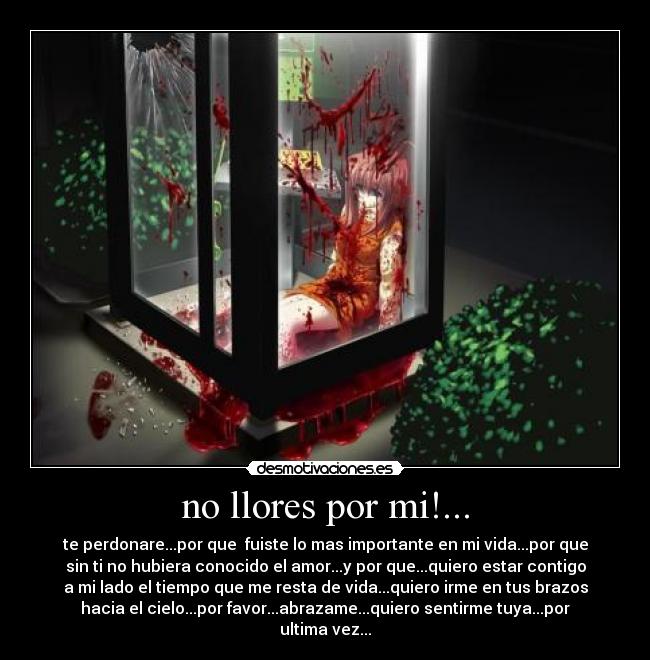 carteles love desmotivaciones