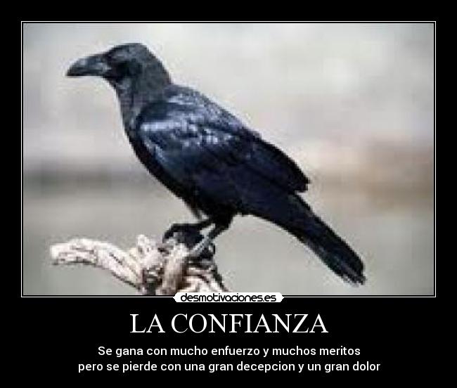 LA CONFIANZA - Se gana con mucho enfuerzo y muchos meritos
pero se pierde con una gran decepcion y un gran dolor