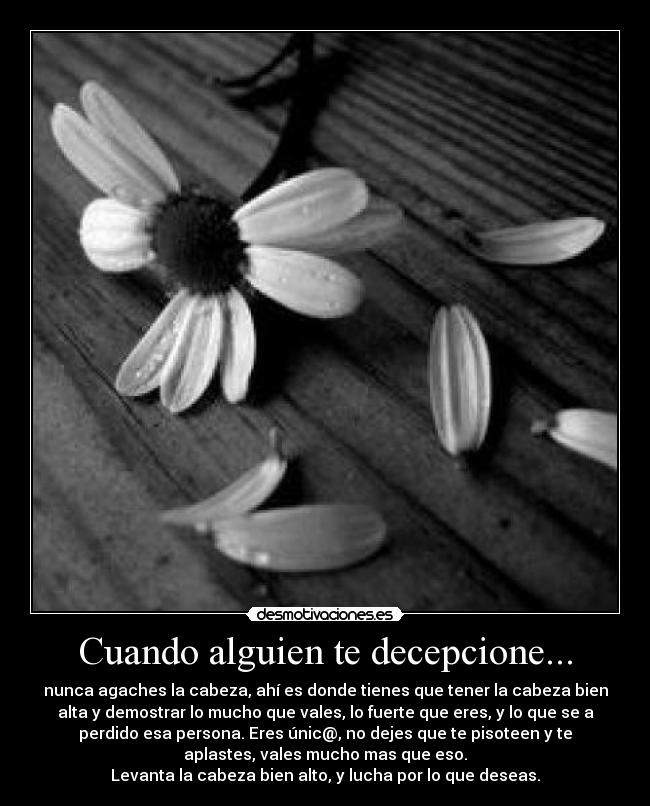Cuando alguien te decepcione... - 