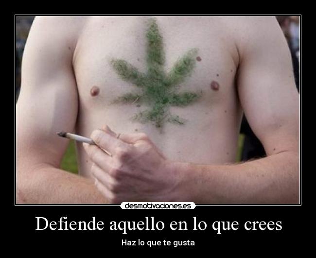 carteles vamos ver cuantos antidroga tocan los cojones eften elclanviral desmotivaciones