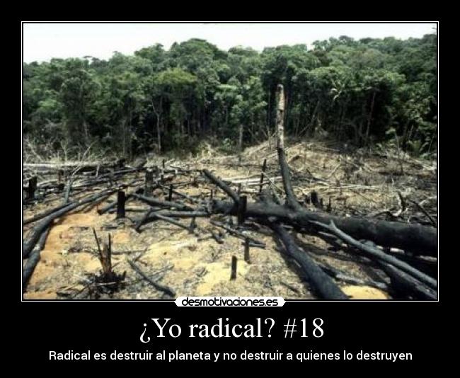 ¿Yo radical? #18 - Radical es destruir al planeta y no destruir a quienes lo destruyen