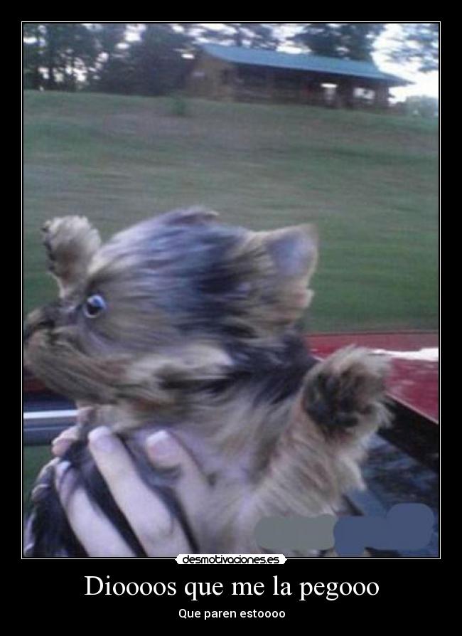 Dioooos que me la pegooo -